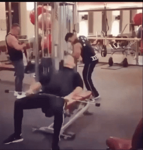 Gym Rat Wild Bench Press Work Out GIF