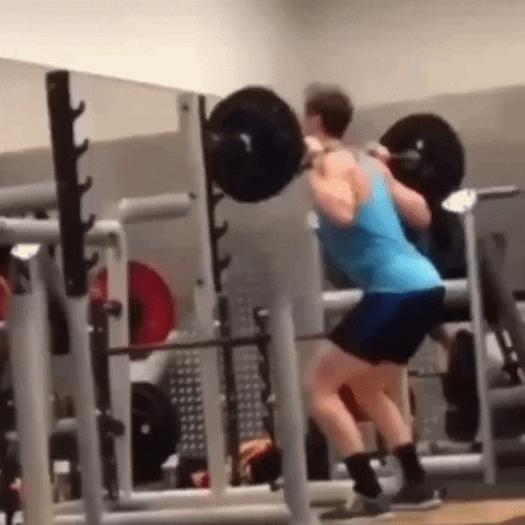 Gym Weightlifting Squats GIF