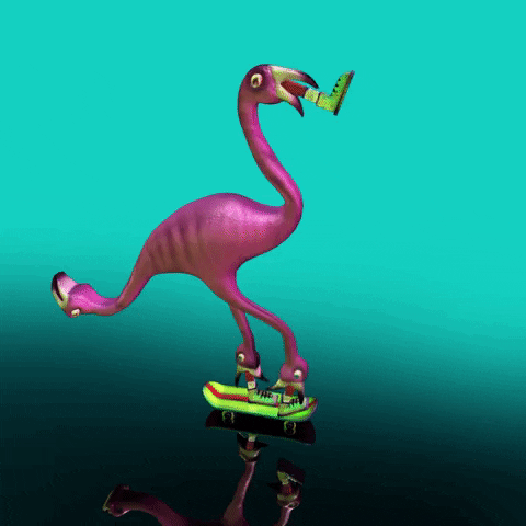 Gymnast Flamingo Skateboard Animation GIF