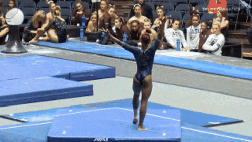 Gymnast Performing On AAU Mat GIF