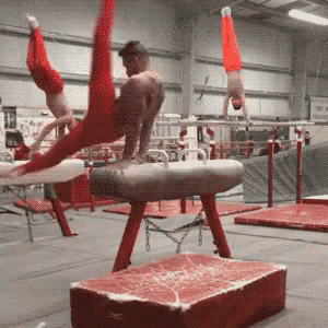 Gymnastics Pommel Horse GIF