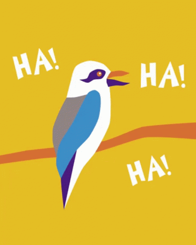 Ha Kookaburra Bird Laugh GIF