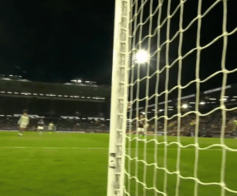 Haaland GIF