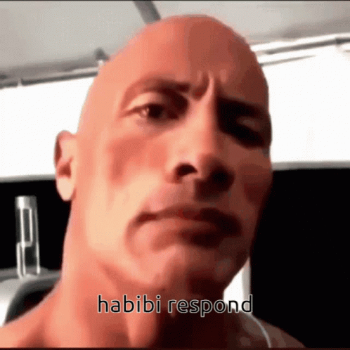 Habibi Respond GIF