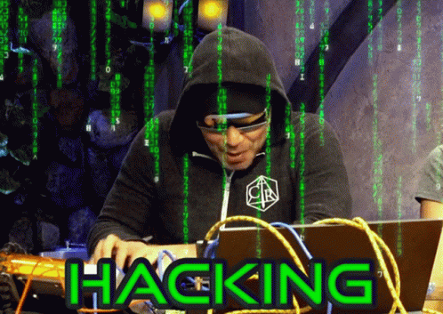 Hacker Im In Excited Cyber Criminal GIF