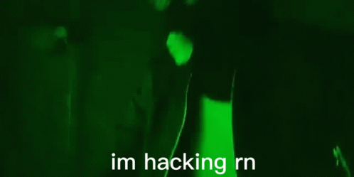 Hacker Im In Hoodlum Hacking Right Now GIF