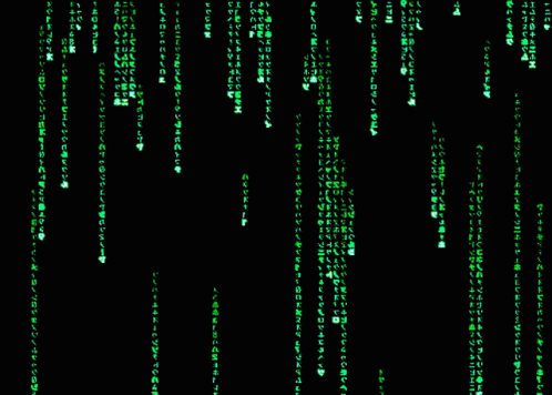 Hacker Im In Matrix Computer Program GIF