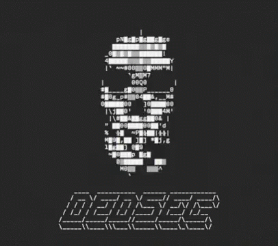 Hacker Screen Dedsec Skull Wallpaper GIF
