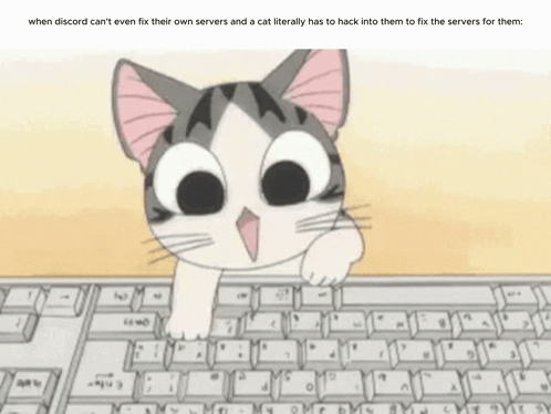 Hacking Screen Chi's Sweet Home GIF