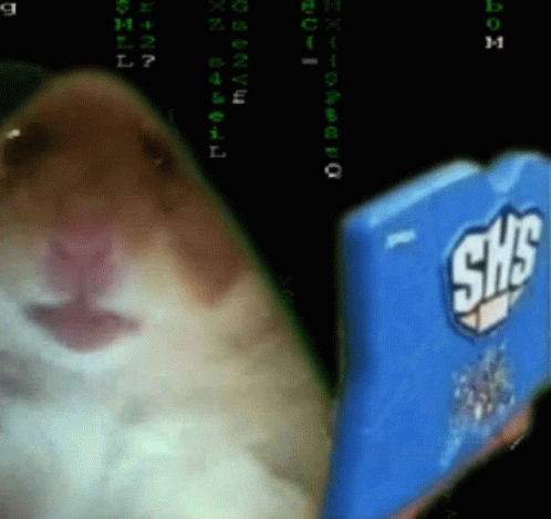 Hacking Screen Hamster Shs GIF