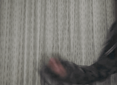 Hailee Steinfeld Counting GIF