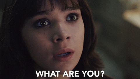 Hailee Steinfeld What Are You GIF