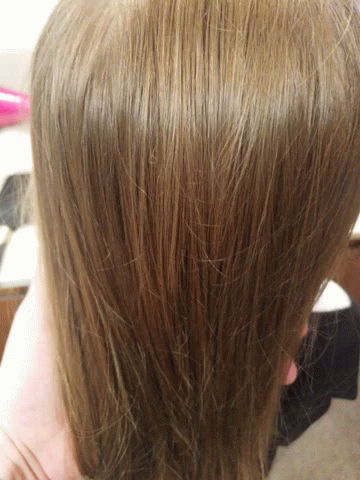 Hair Pull Brown Hair GIF
