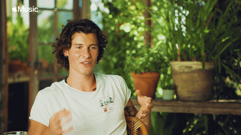 Hair Tuck Shawn Mendes GIF