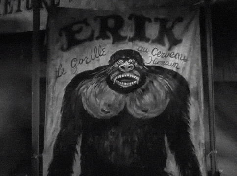 Hairy Gorilla Poster GIF