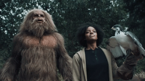Hairy Sasquatch Proud Jack Links GIF