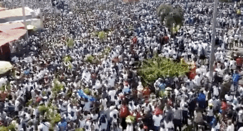 Haiti Crowd Protest GIF