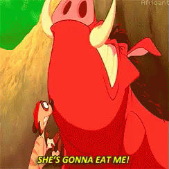 Hakuna Matata Pumbaa Panicking Lion King GIF