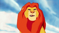 Hakuna Matata Startled Simba GIF