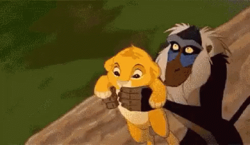 Hakuna Matata Rafiki Presenting Simba GIF