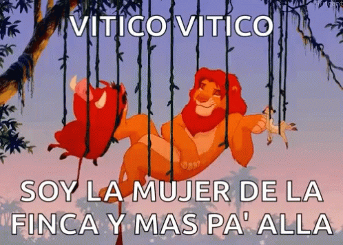 Hakuna Matata Simba And Pumbaa Relaxing GIF
