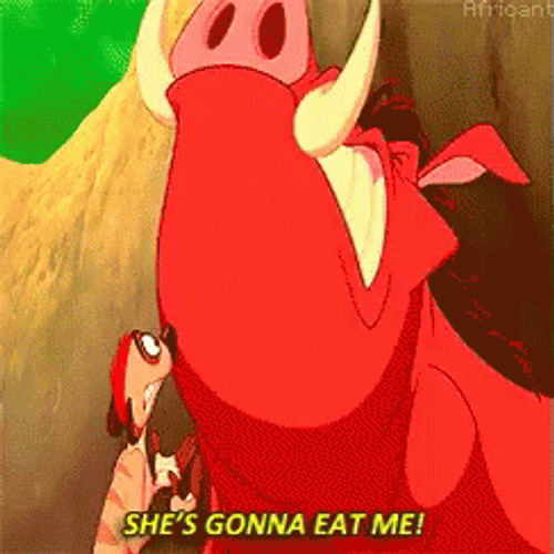 Hakuna Matata Pumbaa Panicking Lion King GIF