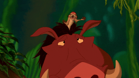 Hakuna Matata Timon Riding Pumbaa GIF