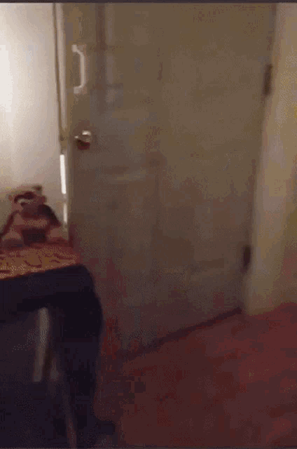 Halloween Dog Costumes GIF