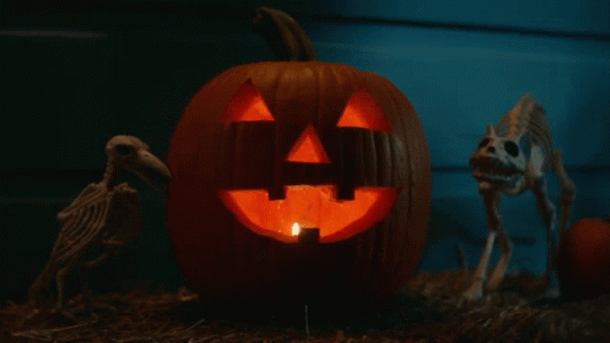Halloween Kills Jack O' Lantern GIF