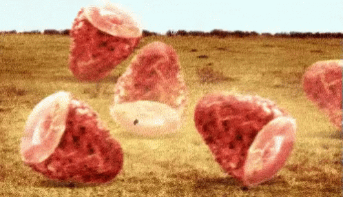 Ham Feast Rolling Over GIF