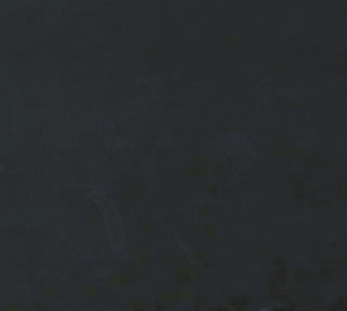 Ham Salad War GIF