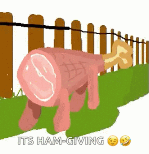 Ham With Bone Standing In Front Of Fence GIF