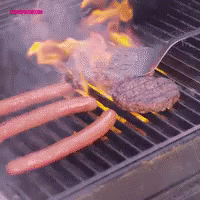 Hamburger and Hot Dogs on Grill