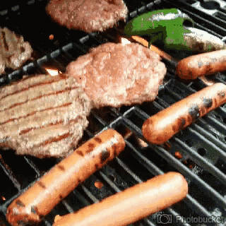 Hamburger Hotdogs Grilling GIF
