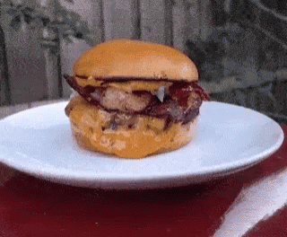Hamburger On White Plate GIF