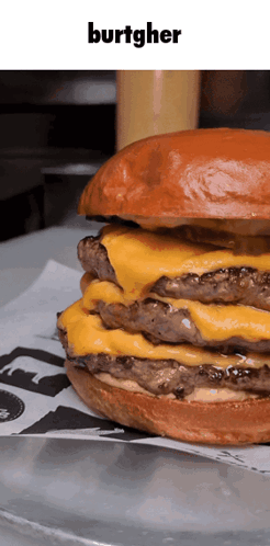 Hamburger with Burtgher Text