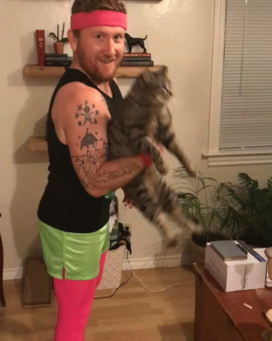 Lifting Kitty Hammer Curls GIF
