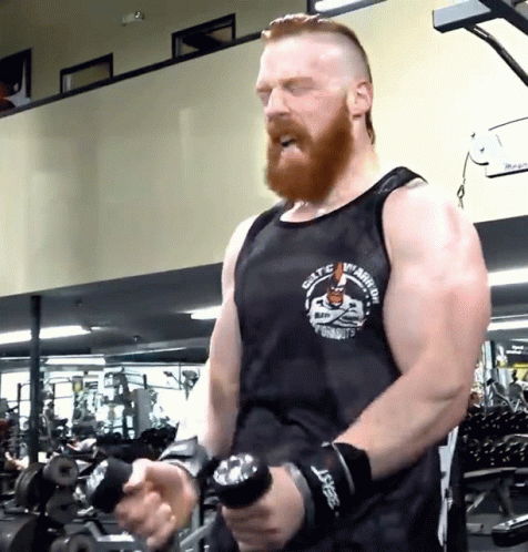 Hammer Curls Coming Up GIF