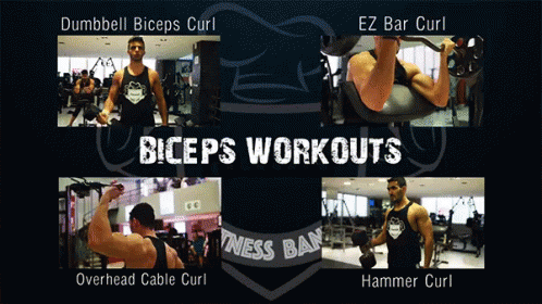 Hammer Curls All Day GIF
