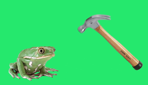 Hammer Smashed Bull Frog GIF