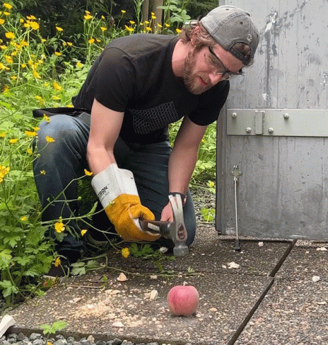 Hammer Time Smash The Nut GIF