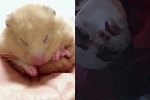 Hampter And Video Game Character Falls Down GIF