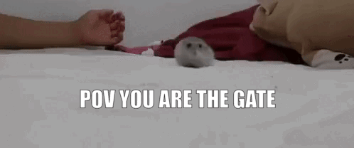 Hampter Going Inside The Gate GIF