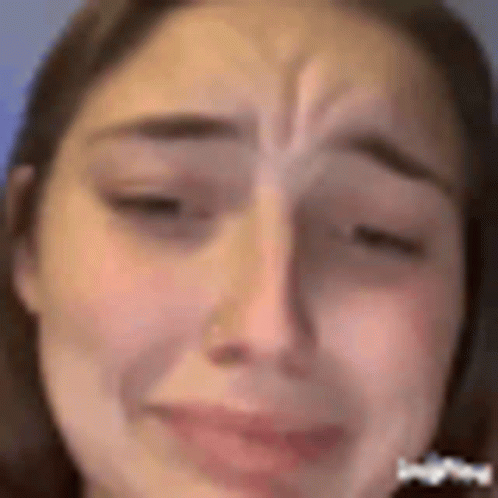 Hampter Meme As A Hanky GIF