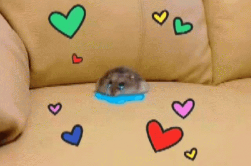 Hampter Meme Crying In Sofa GIF