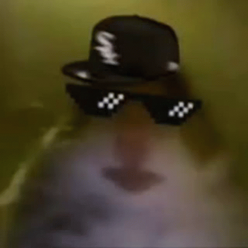 Hampter Meme Thug Life GIF