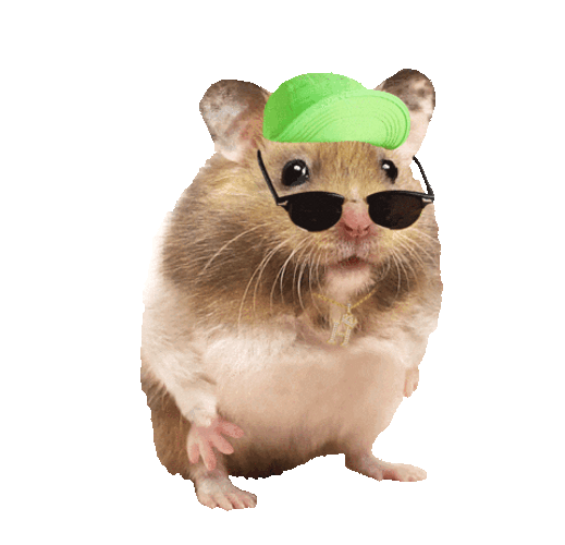 Hamster Cool Gangster Meme GIF