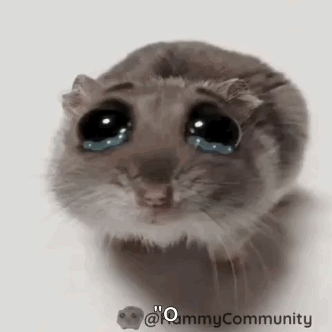 Hamster Crying Tears