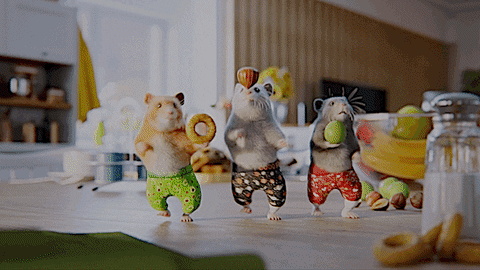 Hamster Dance Carrying Holding Food GIF