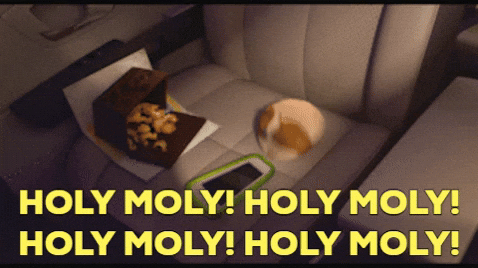 Hamster Dance Sofa Holy Moly GIF